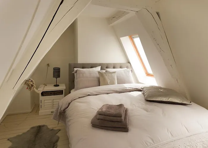 Y & L Villa Antwerp